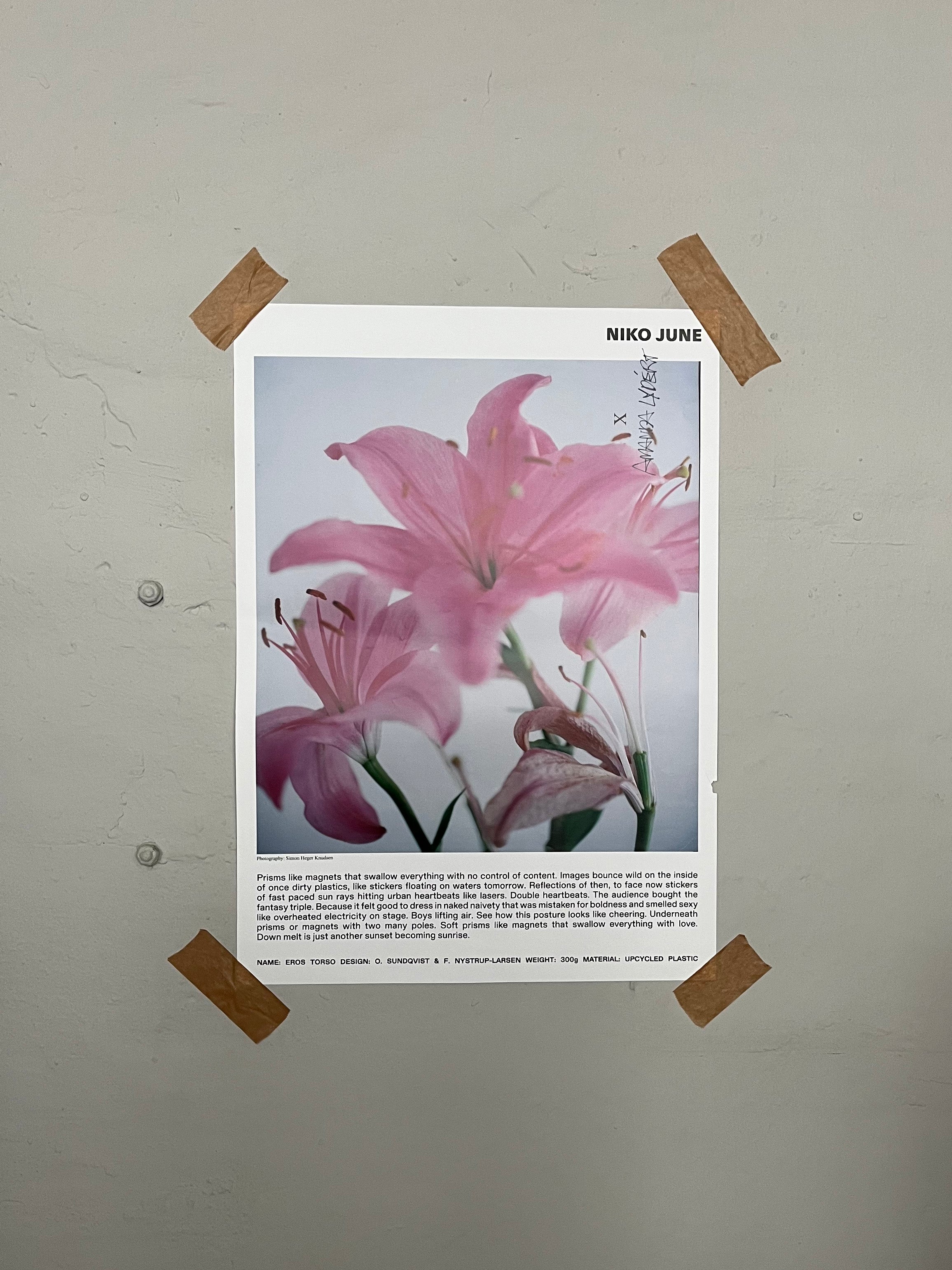 NIKO JUNE POSTER 50 x 70 CM
