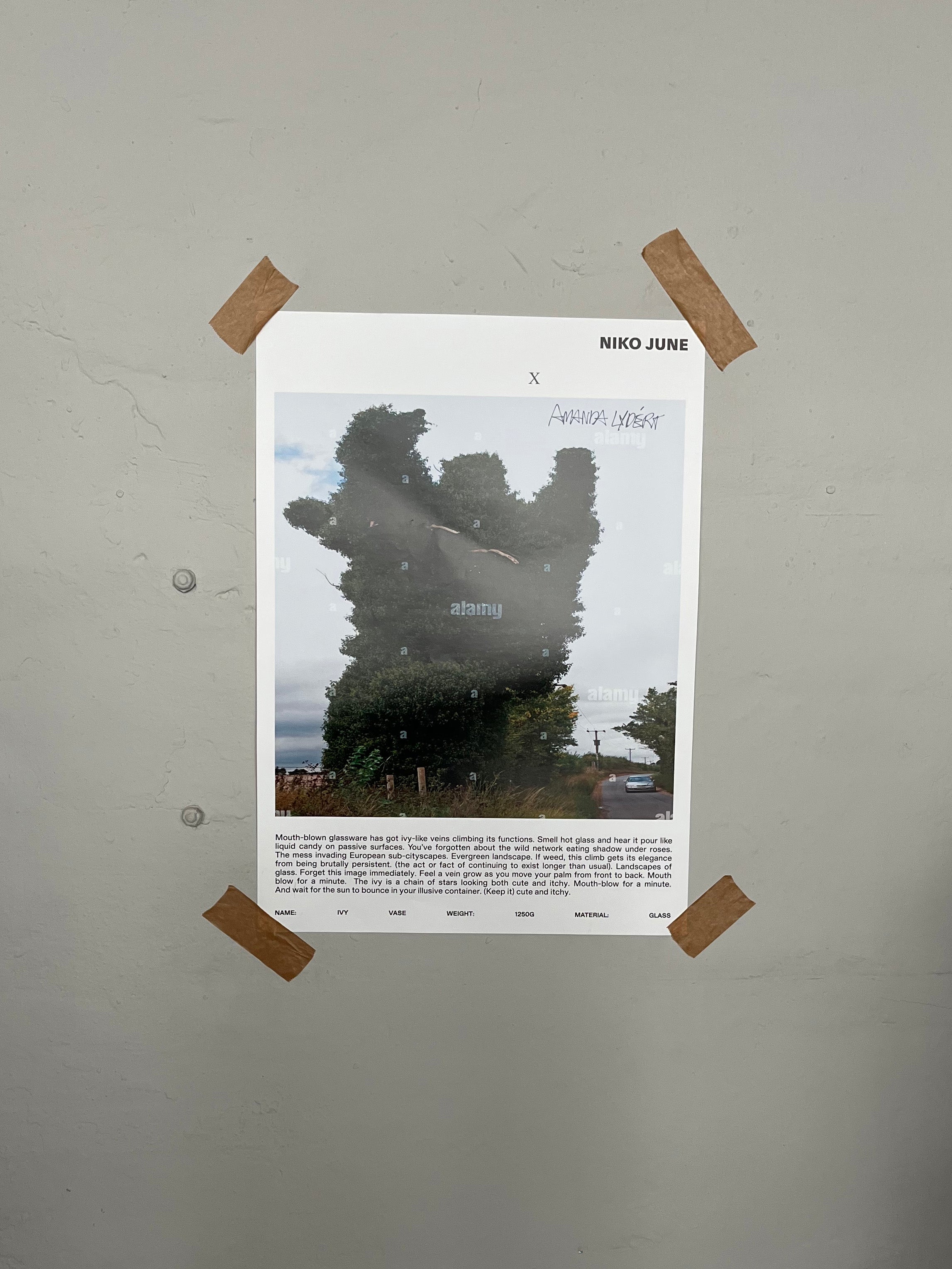 NIKO JUNE POSTER 50 x 70 CM