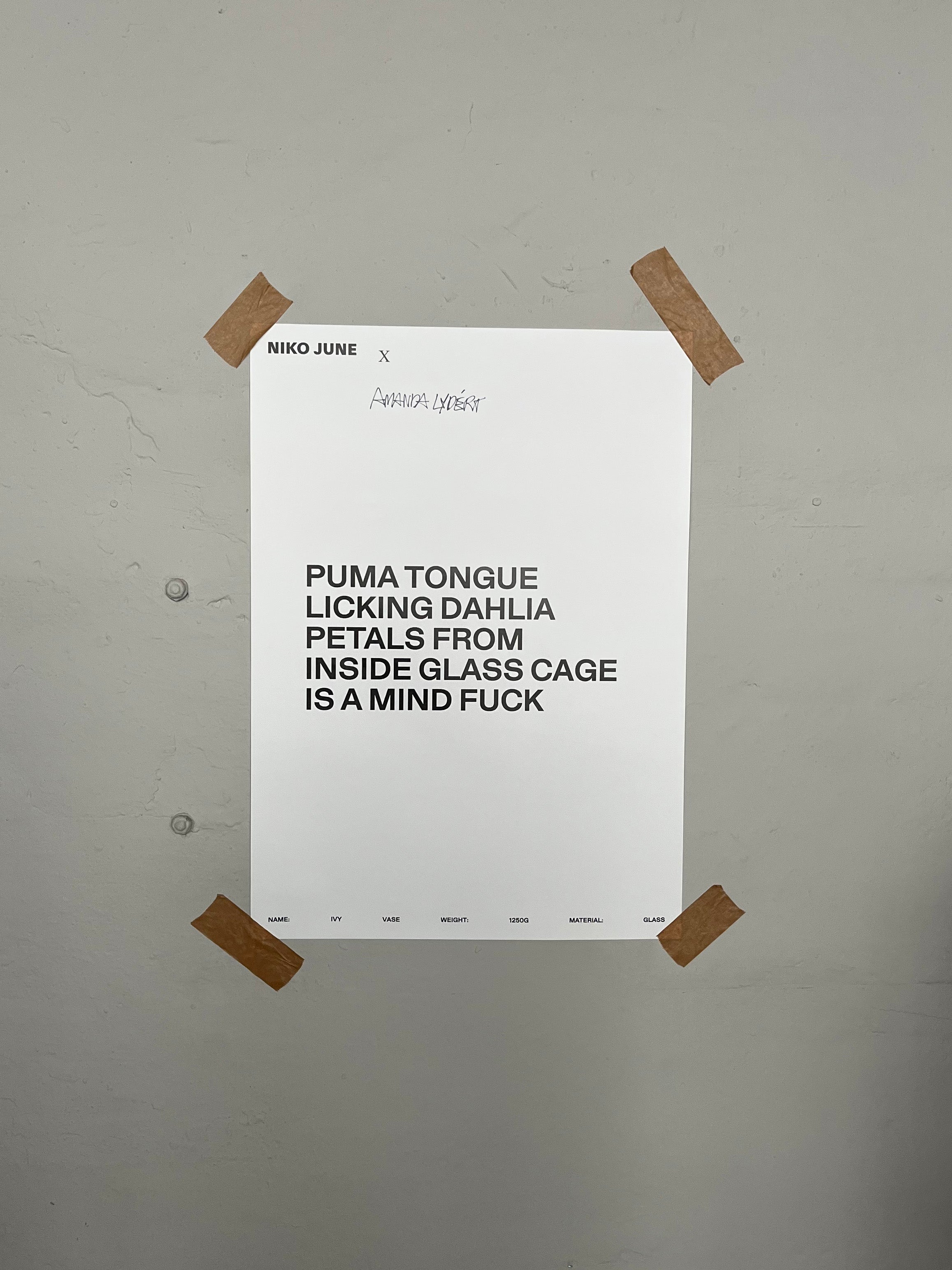 NIKO JUNE POSTER 50 x 70 CM