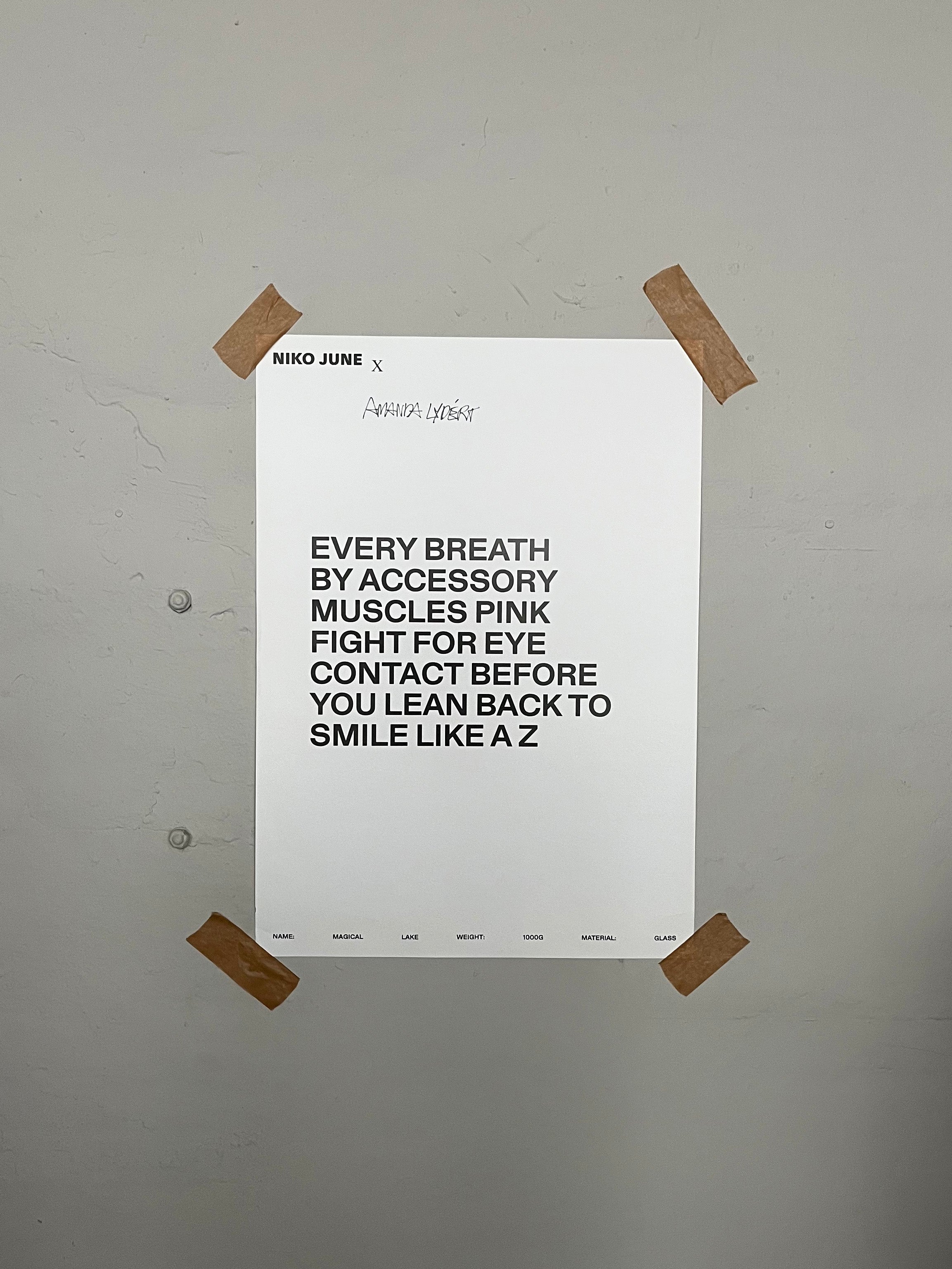 NIKO JUNE POSTER 50 x 70 CM