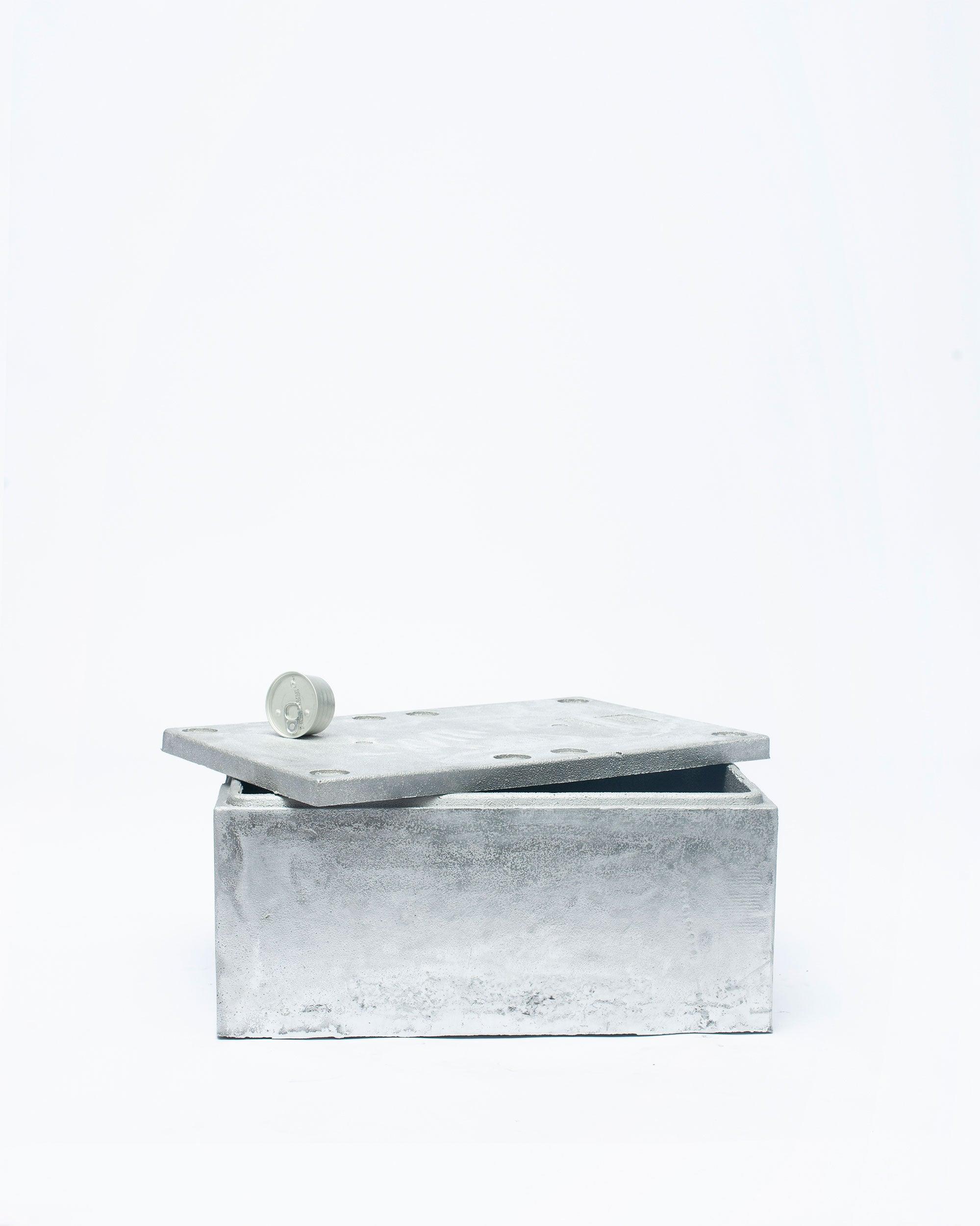 Handmade fish box with left-angled lid in white background